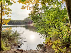 HerbstWald (Claudia)